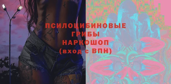 PSILOCYBIN Осинники