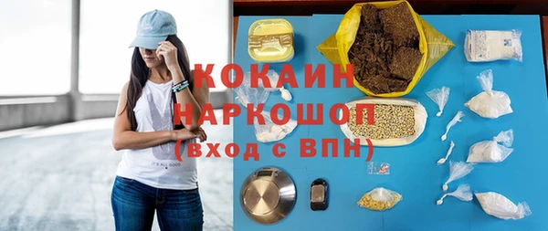 ALPHA PVP Остров