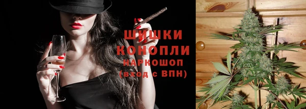 PSILOCYBIN Осинники