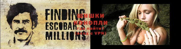 ALPHA PVP Остров