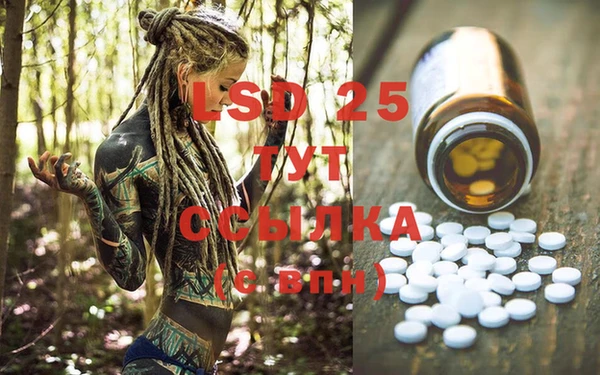 PSILOCYBIN Осинники