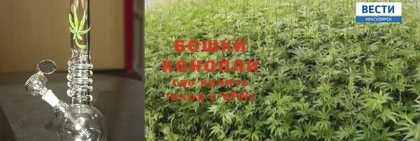 ALPHA PVP Остров